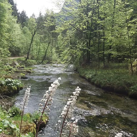 Place In The Bavarian Mountains Apartament