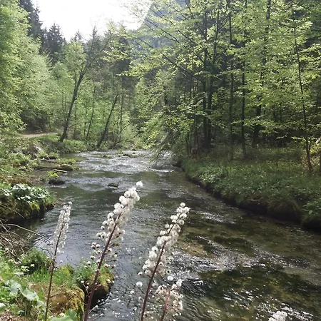 Place In The Bavarian Mountains * Schneizlreuth